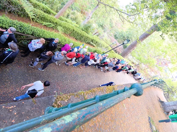 Toboggan Waiting Line