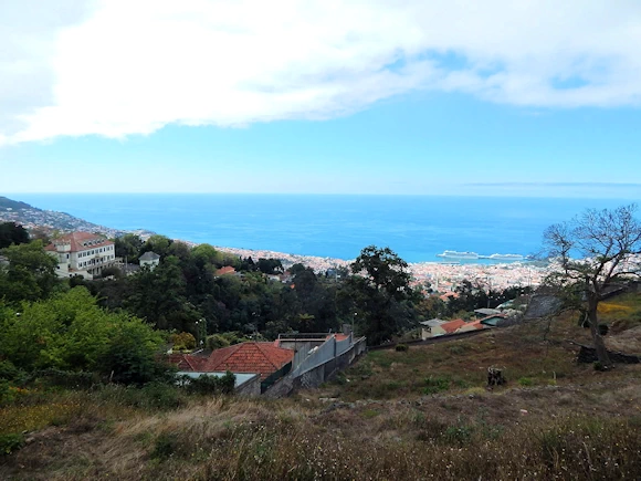 Funchal from the top of Monte