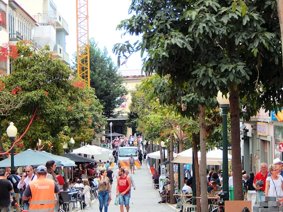 Exploring Mercado dos Lavradores