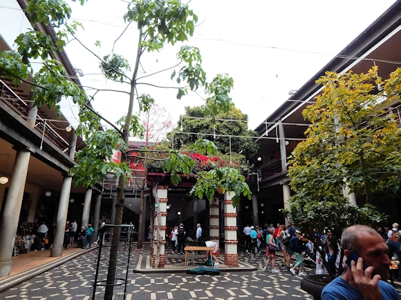 Exploring Mercado dos Lavradores