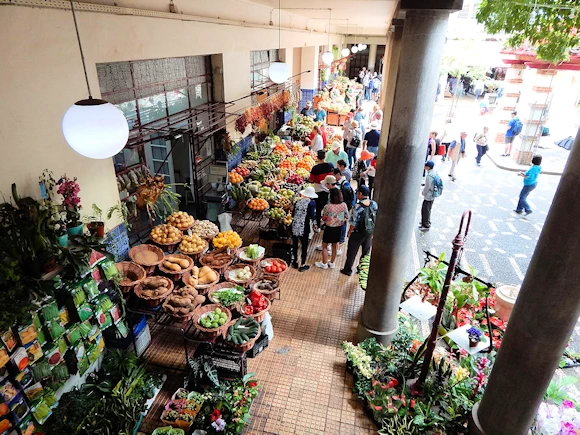 Exploring Mercado dos Lavradores