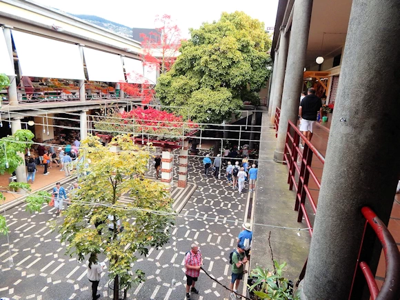 Exploring Mercado dos Lavradores