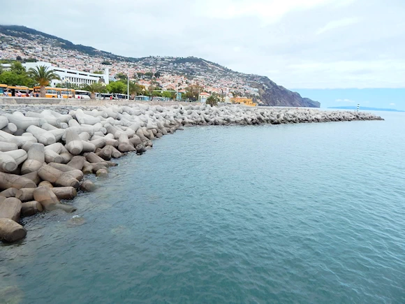 Funchal Harbor