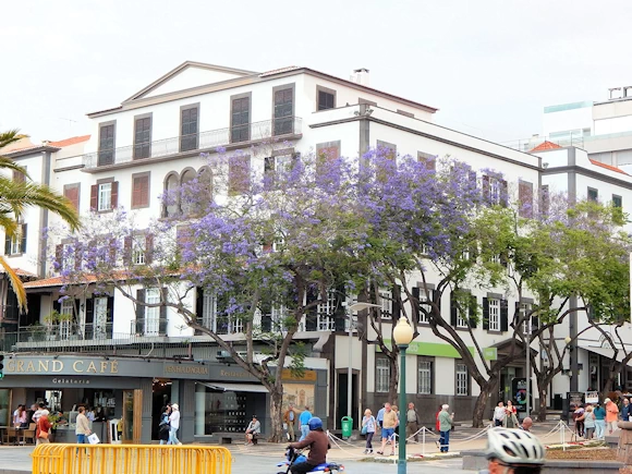 Discover Funchal, Madeira's charming capital. Explore colorful streets, historic sites & volcanic wonders. Hike or boat trip adventures!