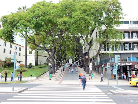 Discover Funchal, Madeira's charming capital. Explore colorful streets, historic sites & volcanic wonders. Hike or boat trip adventures!