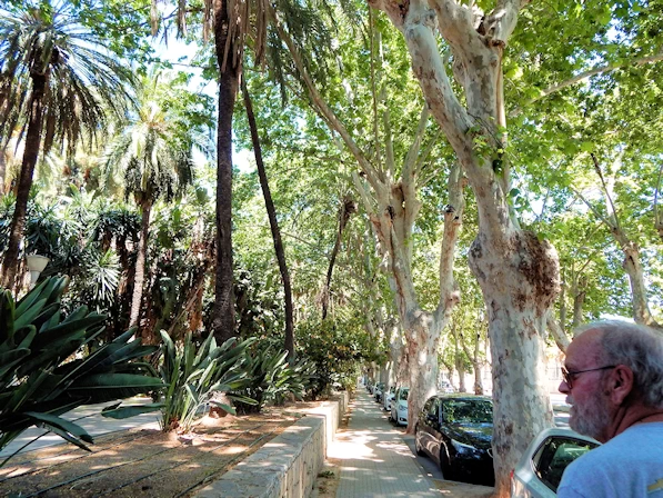 Parque de Malaga Promenade