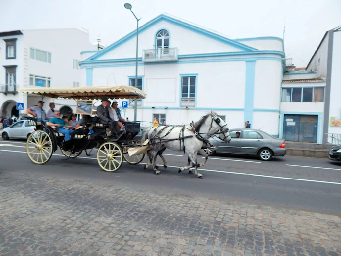 A description and images from a visit to Ponta Delgada.