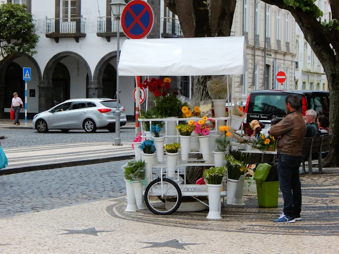 Exploring Ponta Delgada