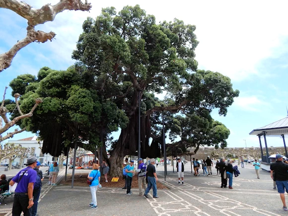 Campo de São Francisco Area