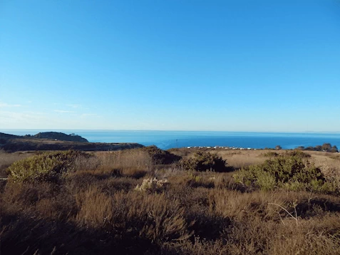 Crystal Cove Hiking Area