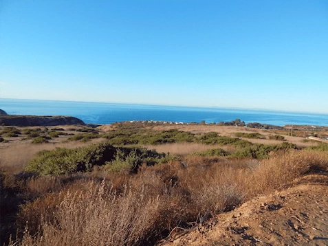 Crystal Cove Hiking Area