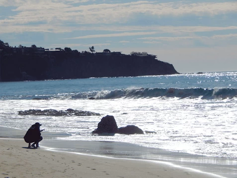 Crystal Cove Beach Area