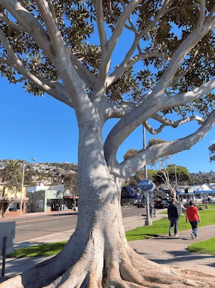 Laguna Main Beach Park