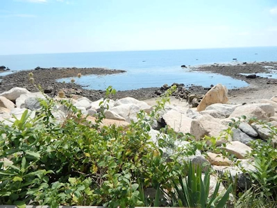 Tidal Pools