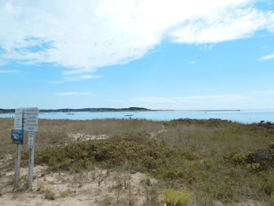 Wellfleet Harbor & Beach