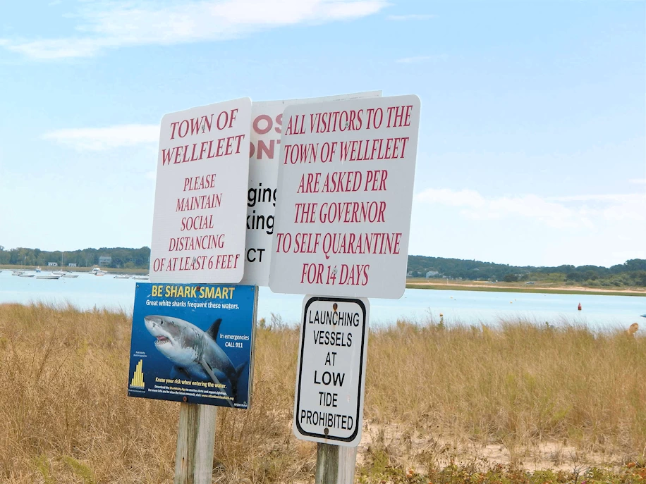 Wellfleet Harbor & Beach