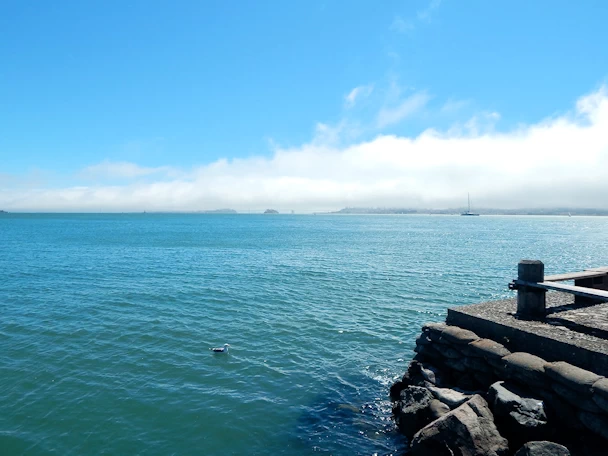 Bonita Point: Richardson Bay from Restaurant