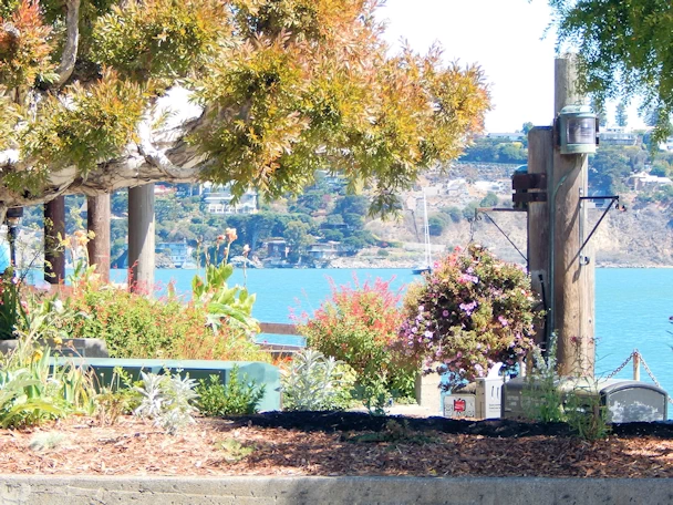 Bonita Point: The Inn Above Area