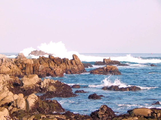 17 Mile Drive Coastline