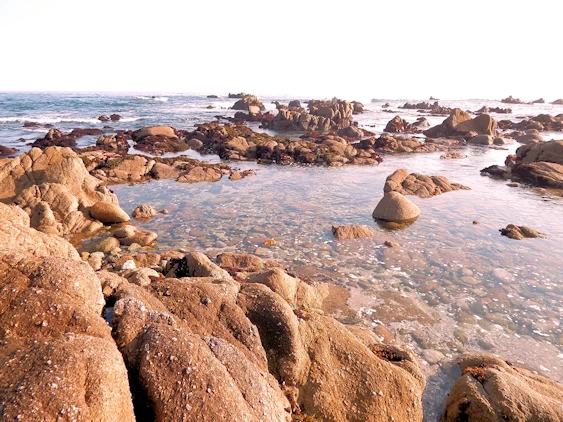 17 Mile Drive Coastline