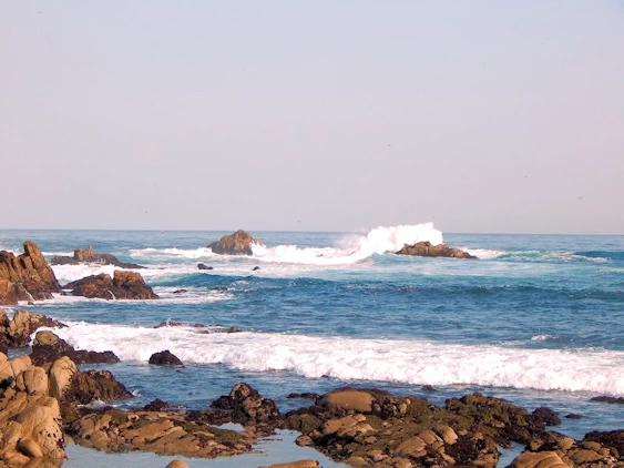17 Mile Drive Coastline