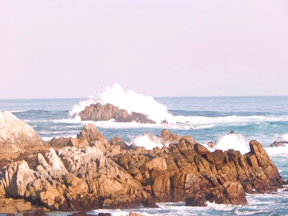 17 Mile Drive Coastline