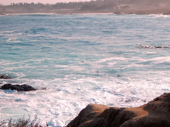 17 Mile Drive Coastline