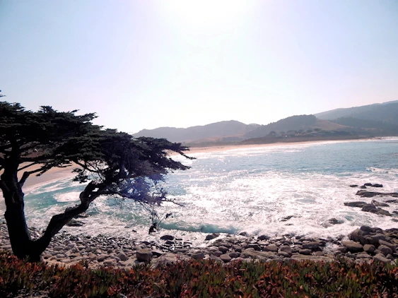 Carmel Sunset Beach