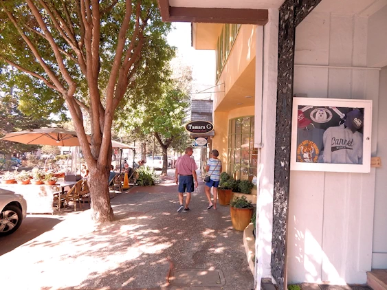Exploring Downtown Carmel