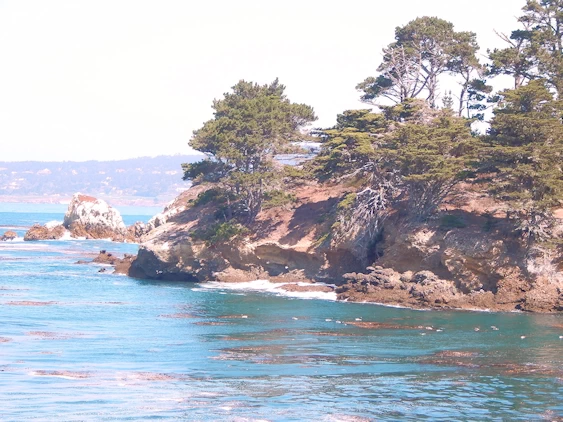 Narrative and images from our 2021 Exploration of Carmel & the 17 Mile Drive.