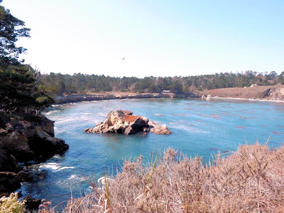 Whalers Cove Area