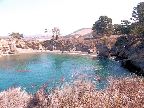 Coal Shute Point Area