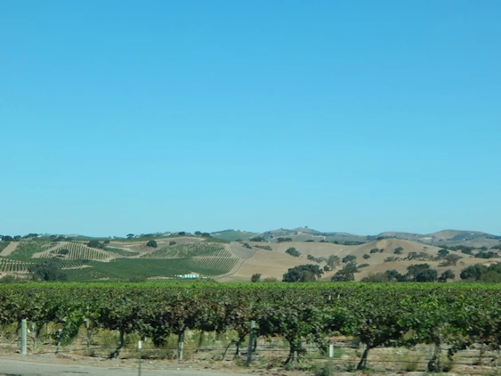 Our 2021 Pacific Coast Highway/Big Sur Image Gallery