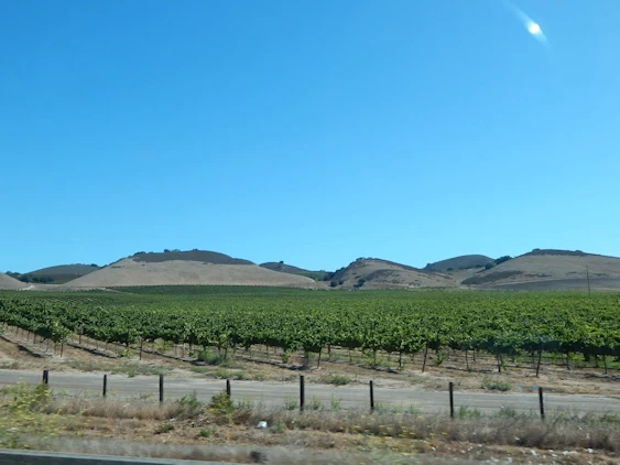 Our 2021 Pacific Coast Highway/Big Sur Image Gallery