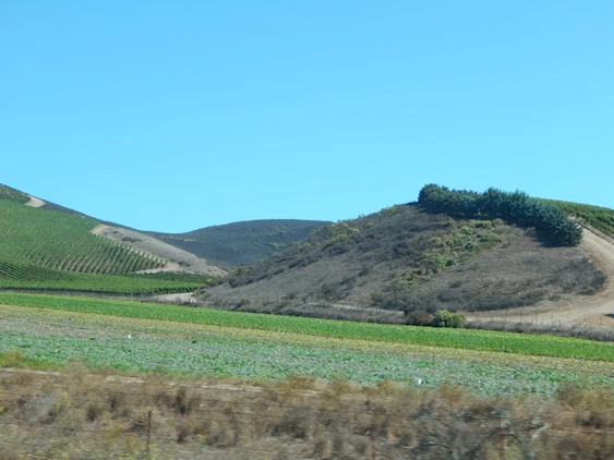 Our 2021 Pacific Coast Highway/Big Sur Image Gallery
