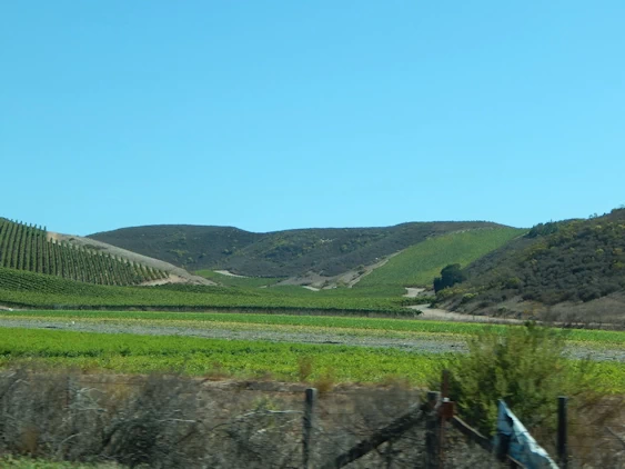 Our 2021 Pacific Coast Highway/Big Sur Image Gallery