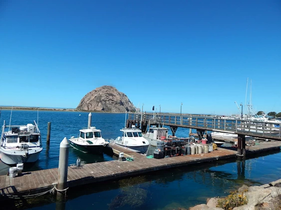 Our 2021 Pacific Coast Highway/Big Sur Image Gallery
