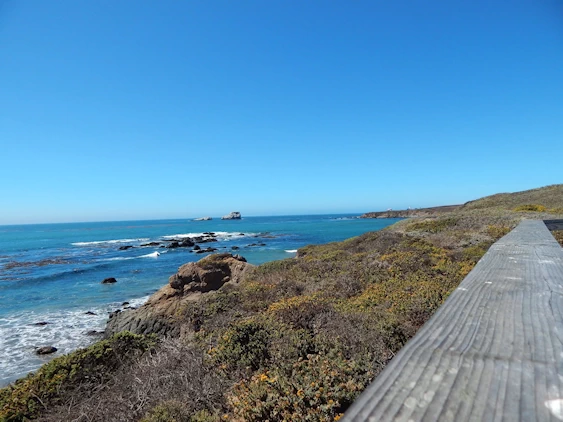 Our 2021 Pacific Coast Highway/Big Sur Image Gallery