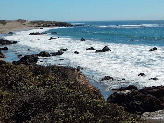 Pacific Coast Highway: San Simeon Beach