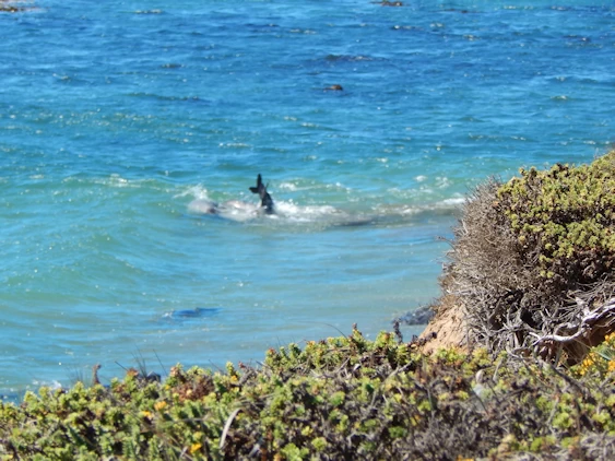 Our 2021 Pacific Coast Highway/Big Sur Image Gallery