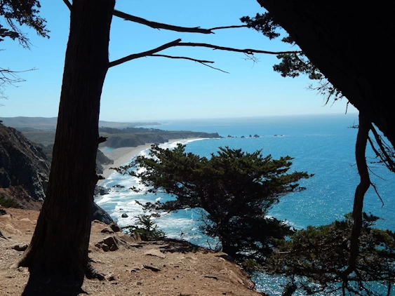 Our 2021 Pacific Coast Highway/Big Sur Image Gallery