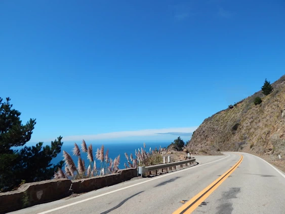Our 2021 Pacific Coast Highway/Big Sur Image Gallery