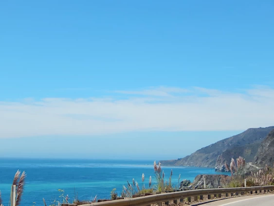 Our 2021 Pacific Coast Highway/Big Sur Image Gallery