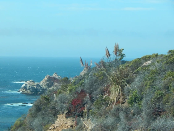 Our 2021 Pacific Coast Highway/Big Sur Image Gallery
