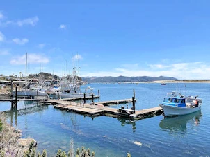 Driving the Coastal Highway and the Big Sur  - One of the Most Romantic Drives in the United States