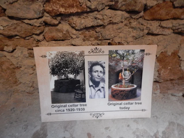 Explore the wonder of Forestiere Underground Gardens. Discover a man-made marvel & lush hidden world beneath Fresno, California