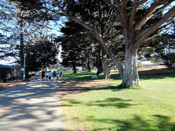 Monterey Visit: San Carlos Beach Park Area