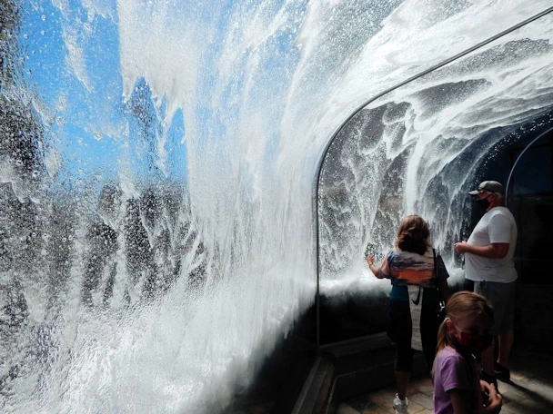 Monterey Visit: Wave Crash Exhibit