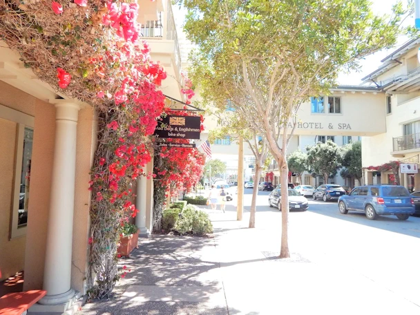 Monterey Visit: Exploring Cannery Row Area