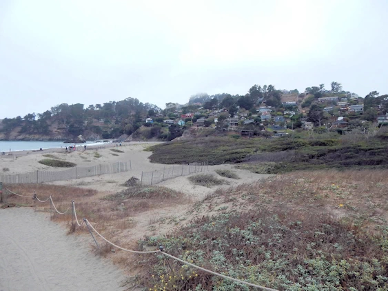 Muir Beach